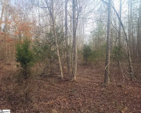Undisclosed, Waterloo, SC 29384 photo 3