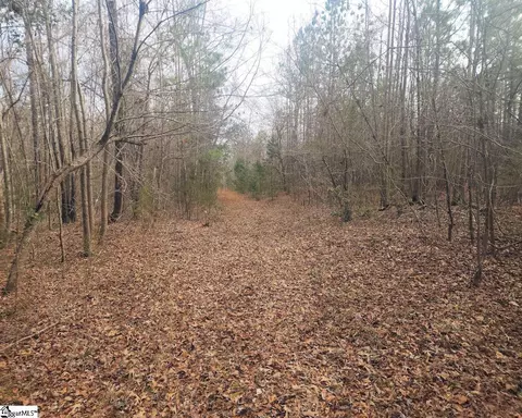 Undisclosed, Waterloo, SC 29384 photo 18