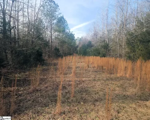 Undisclosed, Waterloo, SC 29384 photo 11