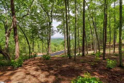 167 Cherokee Rose Trl, Marietta, SC 29661