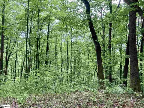 1334 Panther Park Trl, Travelers Rest, SC 29690