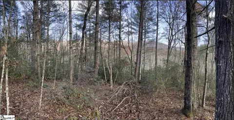 0000 Gap Creek Rd #LOT 2, Marietta, SC 29661