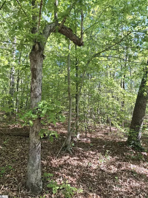 523 Flat Shoals Rd, Walhalla, SC 29691 photo 8
