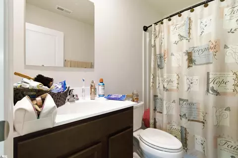Bath - 833 Cranbrook Dr, Woodruff, SC 29388 photo 2 of 2