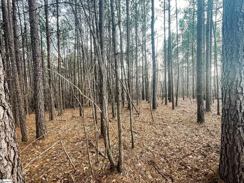 00 Lakeside Dr, Union, SC 29379 photo 2