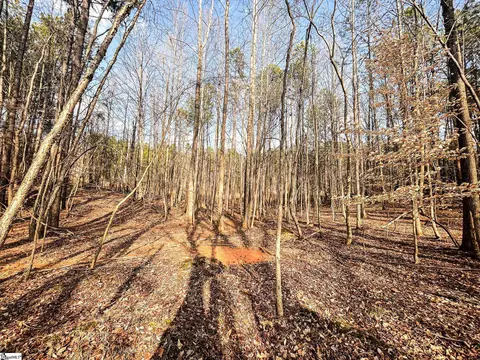 00 Lakeside Dr, Union, SC 29379 photo 4