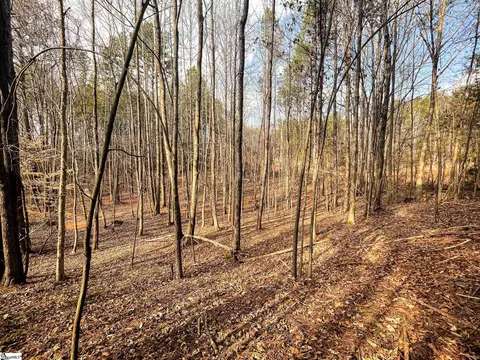00 Lakeside Dr, Union, SC 29379 photo 5