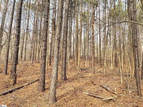 00 Lakeside Dr, Union, SC 29379 photo 12
