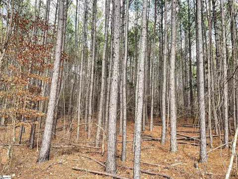 00 Lakeside Dr, Union, SC 29379 photo 7