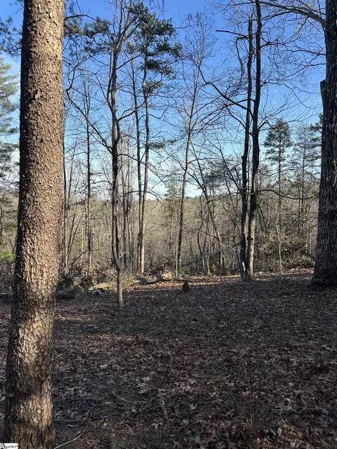 00 Hawkins Ln, Mill Spring, NC 28756 photo 8