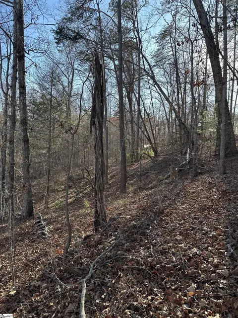 00 Hawkins Ln, Mill Spring, NC 28756 photo 9