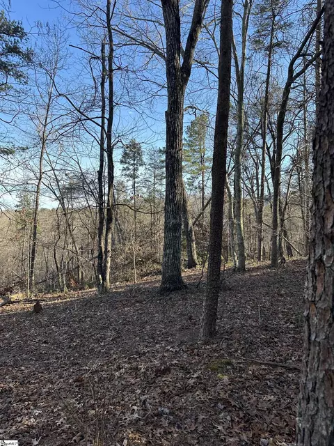 00 Hawkins Ln, Mill Spring, NC 28756 photo 10