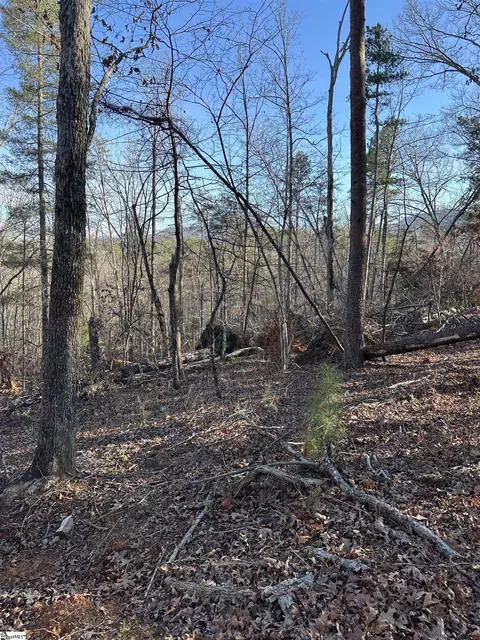 00 Hawkins Ln, Mill Spring, NC 28756 photo 6