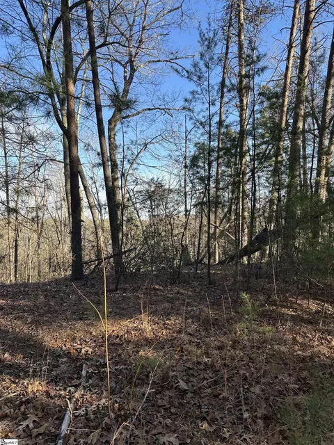 00 Hawkins Ln, Mill Spring, NC 28756 photo 7