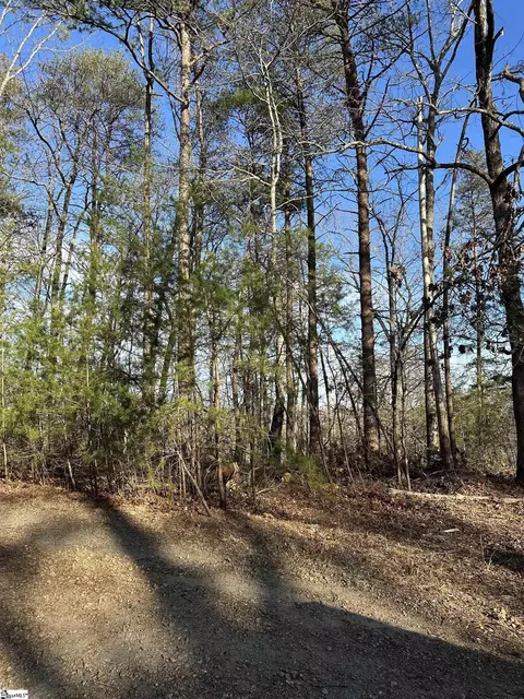 00 Hawkins Ln, Mill Spring, NC 28756 photo 5