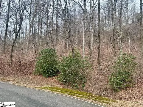 00 Indian Pipe Trl, Landrum, SC 29356