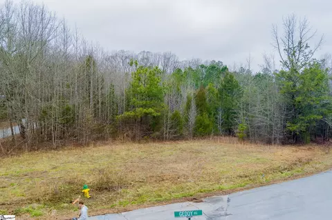 00 Baynes Creek Rd, Gray Court, SC 29645