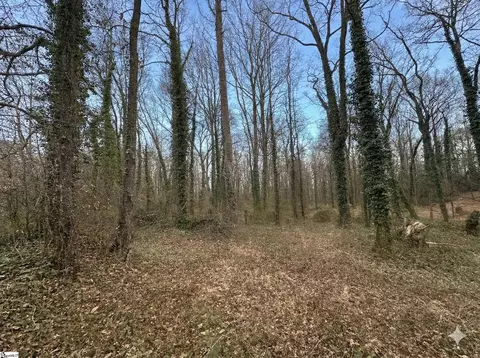 0 Red Berry Ln, Easley, SC 29640 photo 3