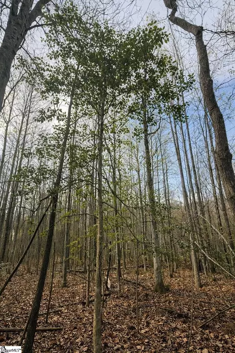 0 Circle Rd, Easley, SC 29642