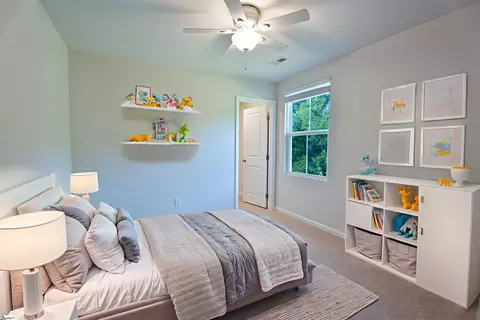 156 Queens Mill Ct, Pendleton, SC 29670 photo 22