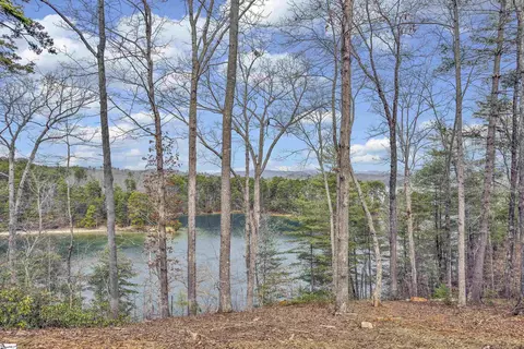 731 Barberry Ct, Salem, SC 29676