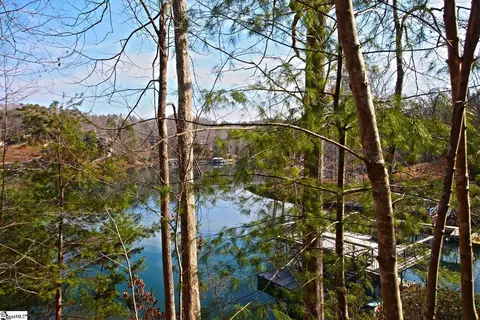 106 Saint Christopher Ct, Sunset, SC 29685 photo 32