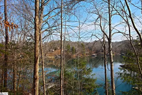 106 Saint Christopher Ct, Sunset, SC 29685 photo 37