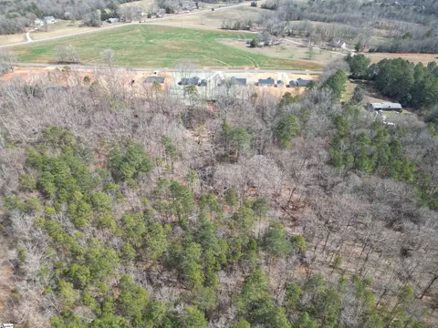 View/Area - 9920 Highway 252, Ware Shoals, SC 29692 photo 5 of 5