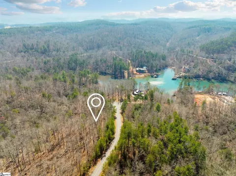 223 Logan Ridge Run, Sunset, SC 29685 photo 6