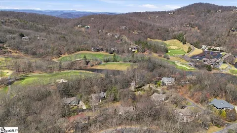 View/Area - 3 Rustic Ct, Landrum, SC 29356 photo 3 of 4