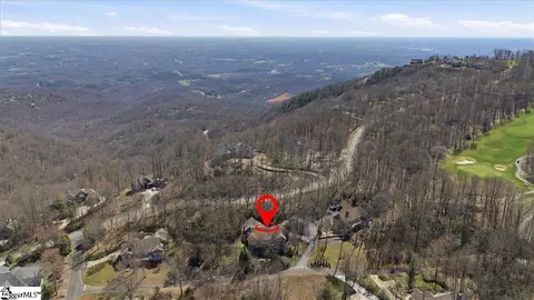 View/Area - 3 Rustic Ct, Landrum, SC 29356 photo 2 of 4