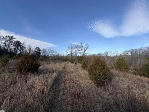 4525 Babb Rd, Greer, SC 29651 photo 25