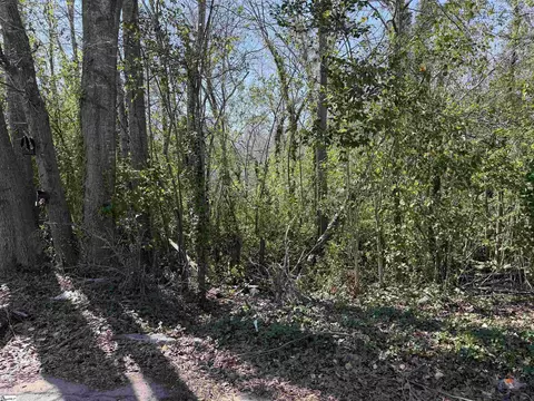 9 Allen St, Enoree, SC 29355 photo 5