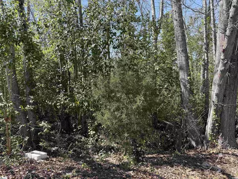 9 Allen St, Enoree, SC 29355 photo 3