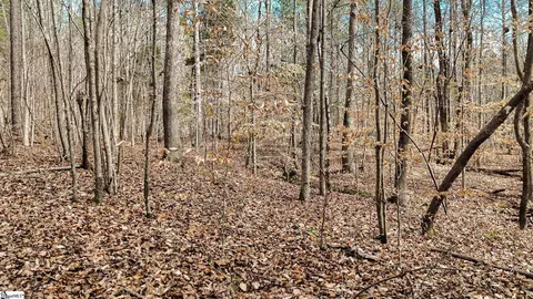 00 Lake Rd, Clinton, SC 29325 photo 16