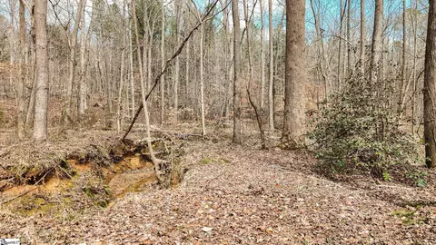 00 Lake Rd, Clinton, SC 29325 photo 14