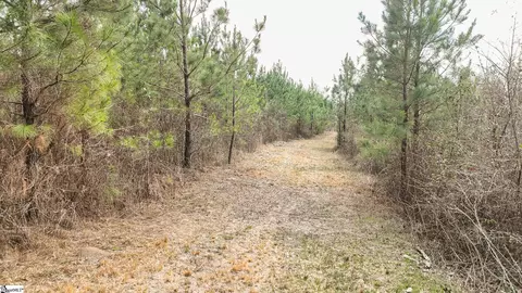 00 Lake Rd, Clinton, SC 29325 photo 4