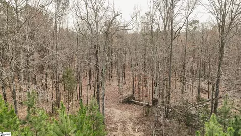 00 Lake Rd, Clinton, SC 29325 photo 8