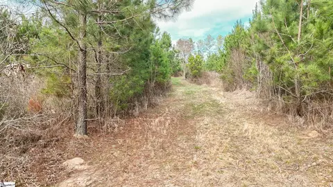 00 Lake Rd, Clinton, SC 29325 photo 5