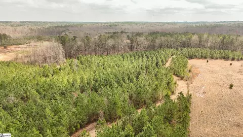 00 Lake Rd, Clinton, SC 29325 photo 3