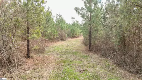 00 Lake Rd, Clinton, SC 29325 photo 6