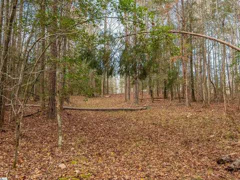 119 Arnold Rd, Pelzer, SC 29669 photo 37