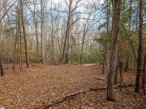 119 Arnold Rd, Pelzer, SC 29669 photo 38