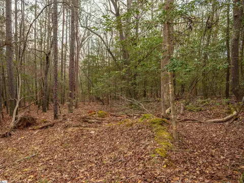 119 Arnold Rd, Pelzer, SC 29669 photo 41