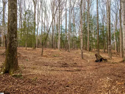 119 Arnold Rd, Pelzer, SC 29669 photo 31