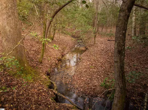 119 Arnold Rd, Pelzer, SC 29669 photo 44