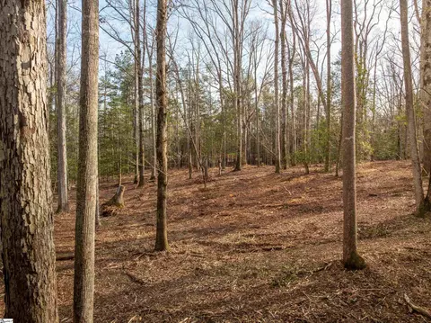 119 Arnold Rd, Pelzer, SC 29669 photo 27