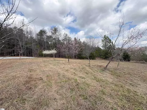 829 Bramlett Rd, Laurens, SC 29360 photo 6
