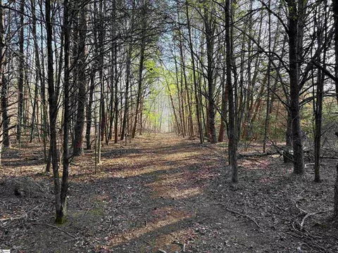 829 Bramlett Rd, Laurens, SC 29360 photo 11