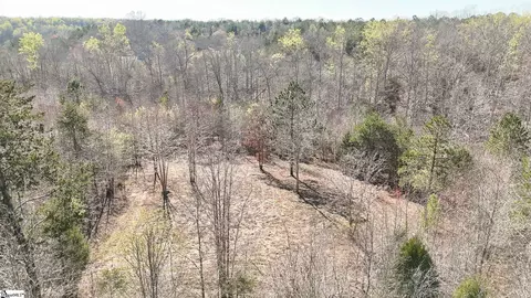 829 Bramlett Rd, Laurens, SC 29360 photo 26